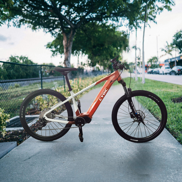 Вайолет 700с