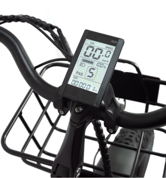 Электрические трициклы2