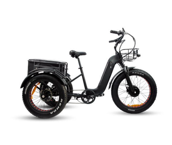 Электрические трициклы1